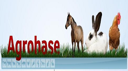 Agrohase