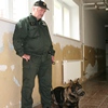 Policajné psy prehľadali školu