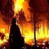 Chráňme lesy pred požiarmi