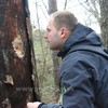 Opatrenia na záchranu borovíc