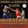 Memoriál Aliho Reisenauera v boxe už tento víkend