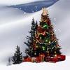 Chcete popriať krásne Vianoce v Malackom hlase?