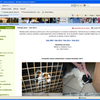 Zatúlané psy sa zverejňujú na webe