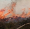 Požiar lesa v Malackách