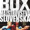 Majstrovstvá Slovenska v boxe mužov 