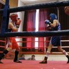 Malackí boxeri súťažili na Morave