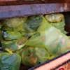 TEKOS pokračuje v rozdávaní žltých nádob na plast